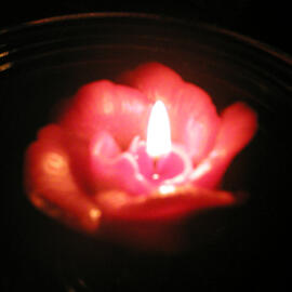 a lit reddish-pink, rose-shaped candle, floating in a bowl of dark water